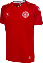 Load image into Gallery viewer, Denmark Home Jersey