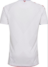 Load image into Gallery viewer, Denmark Away Jersey
