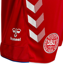 Load image into Gallery viewer, Denmark Away Shorts