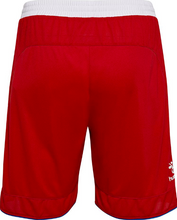 Load image into Gallery viewer, Denmark Away Shorts