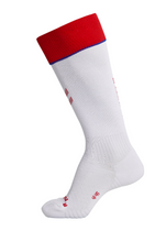 Load image into Gallery viewer, Denmark Away Socks