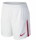 Peru Away Shorts